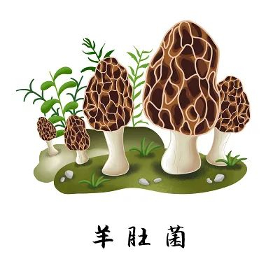 来源：乳山发布