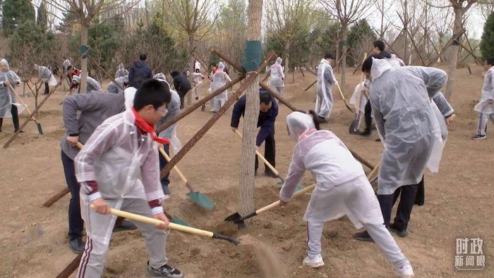 △东坝中心公园植树现场。