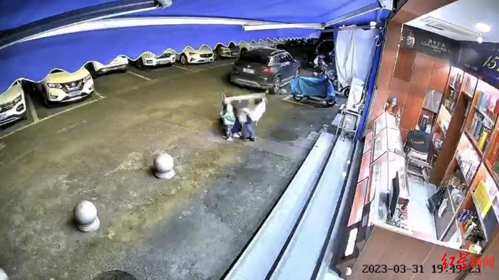 ↑窗扇先砸中罗女士头部