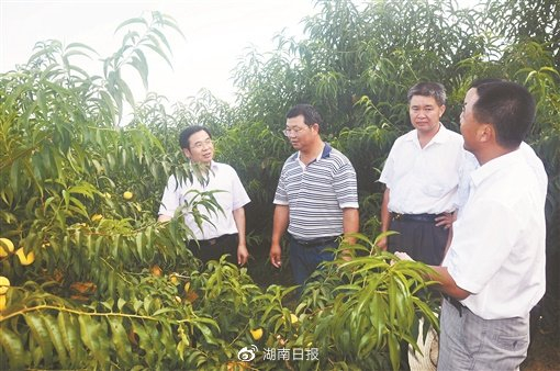 黄诗燕。 炎陵县委宣传部供图