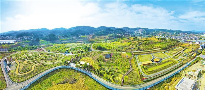     俯瞰蘑力小镇。  谢佳杰 摄