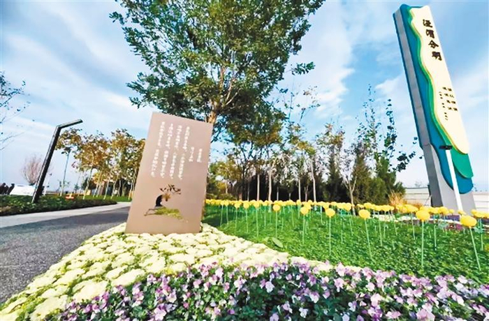 位于高陵区的泾渭分明观景台一角。 （高陵区供图）