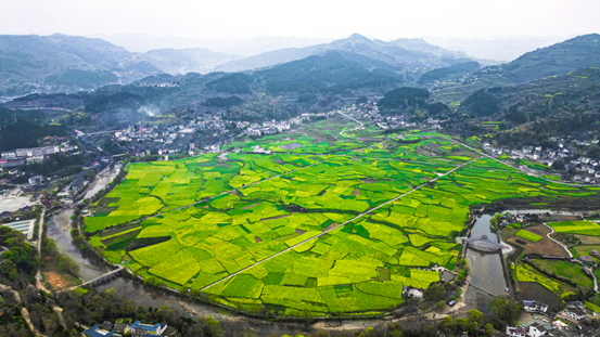 　　“玉水金盆”油菜花田 摄影/任珍宇