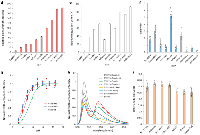图1. mScarlet3和mScarlet-I3的荧光特性