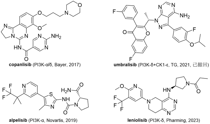 图2. 部分获批上市的PI3K抑制剂。