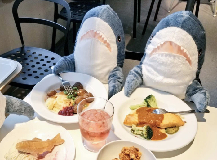 宜家大鲨鱼布罗艾本文图源网络