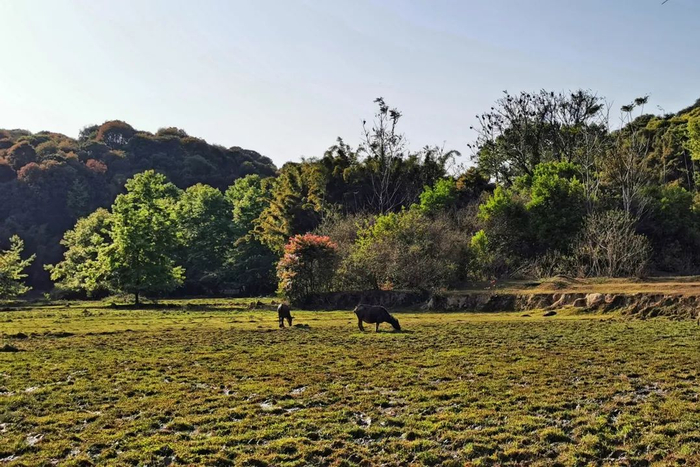 沿途：田园牧歌
