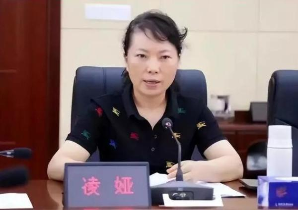 凌娅穿着便装在会上讲话。 图片来源于网络