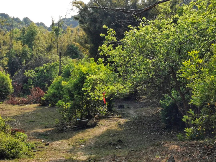 沿途：五斗租古村旧址