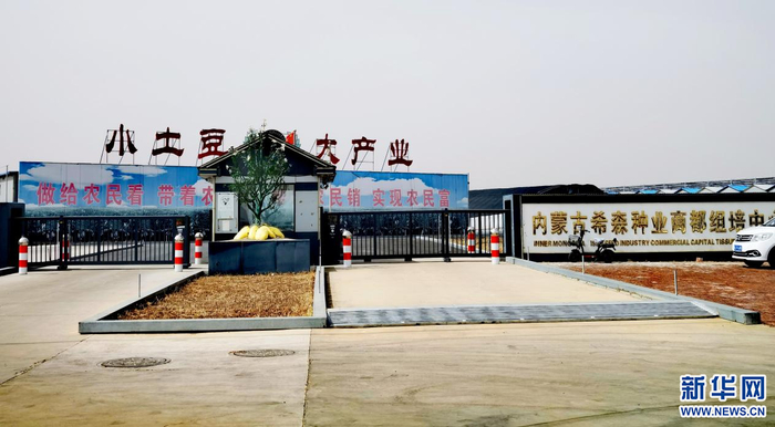 　　马铃薯国产品种的繁育，带动了商都县马铃薯全产业链发展。新华网郝芳芳摄