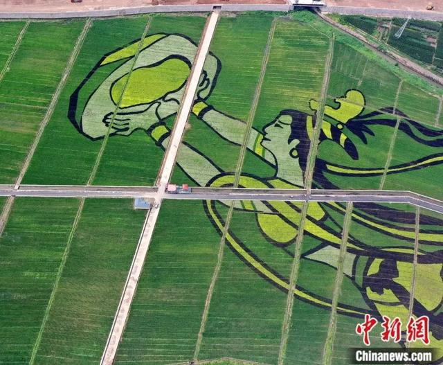 河北涉县“女娲补天”稻田画。郝群英 摄