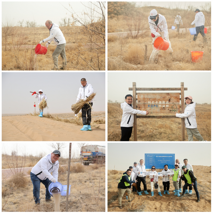 　　柯尼卡美能达公益团队前往八步沙进行浇水压沙固壤并前往六道沟考察曾经的治沙成果