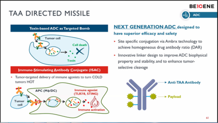 百济神州引进Ambrx的定点偶联技术，同时跟踪开发免疫刺激ADC，即抗体偶联TLR7/8激动剂