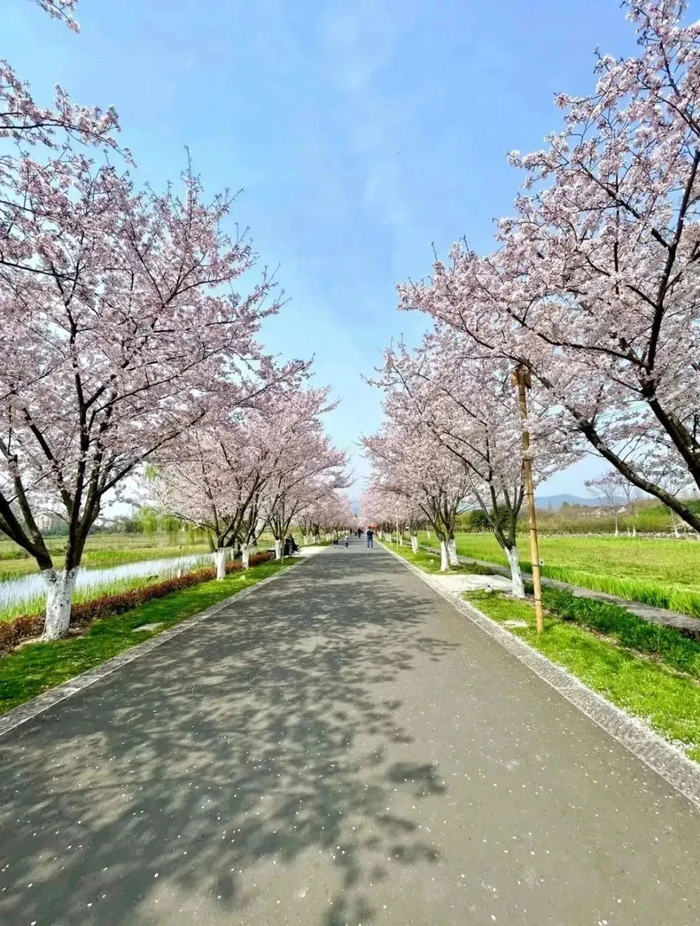 （图源：小红书@brendahuang @Joker）