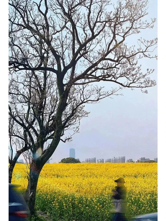 （图源：小红书@灰尘i @加盐不加糖）