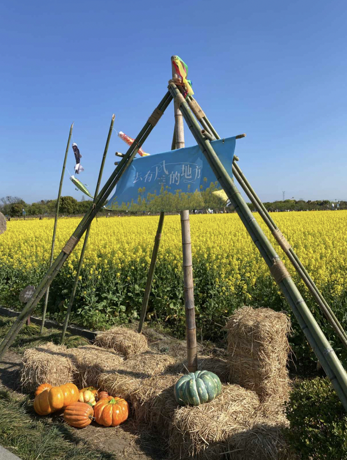 （图源：南太湖号@138***632）