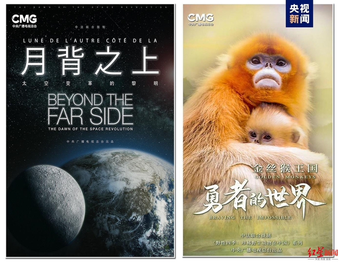 ↑图据央视新闻