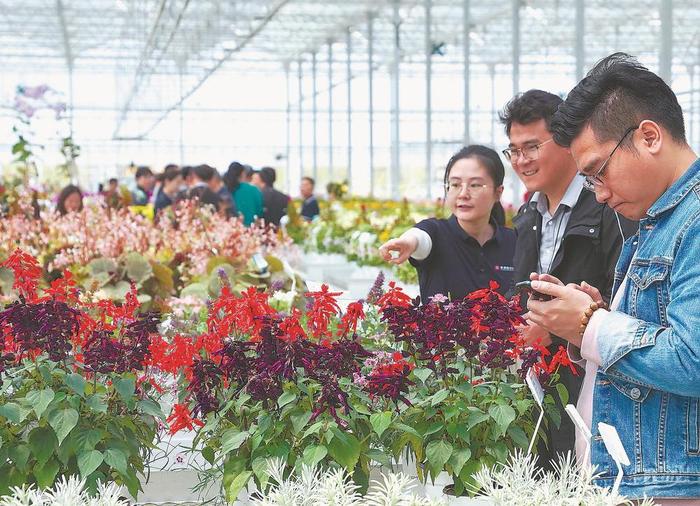 图为工作人员向观众介绍花卉品种。林梓健 摄