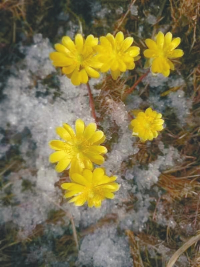 　　通讯员王政正摄