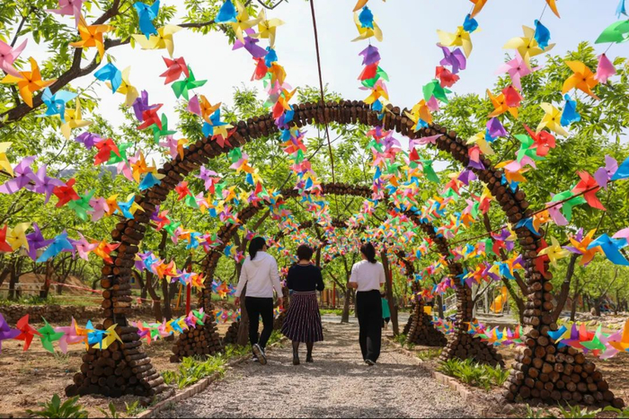 游客在河北省迁西县杨家峪村休闲农业园“归巢部落”游玩。李少华摄