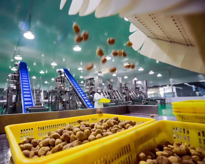工人在位于河北省迁西县的唐山尚禾谷板栗发展有限公司栗仁加工车间工作。刘满仓摄（新华社）