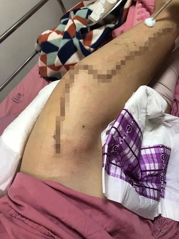 来源：澎湃新闻