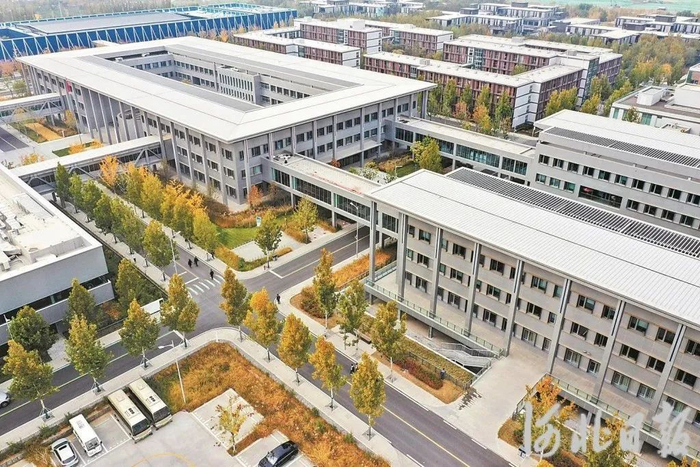 雄安市民服务中心（无人机拍摄）。河北日报资料片