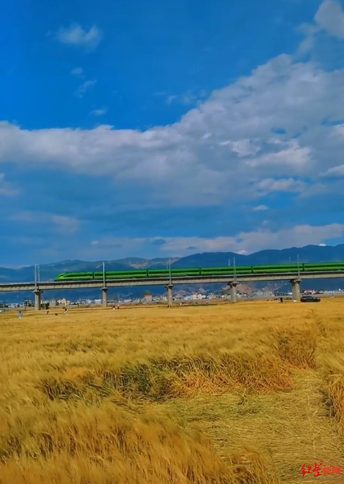 ↑麦田旁有动车经过