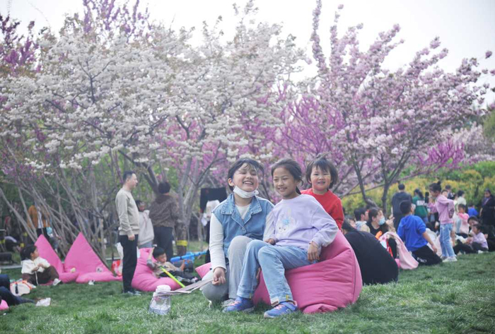 4月9日，石家庄市栾城区樱花公园内，市民正在懒人沙发区享受惬意时光。