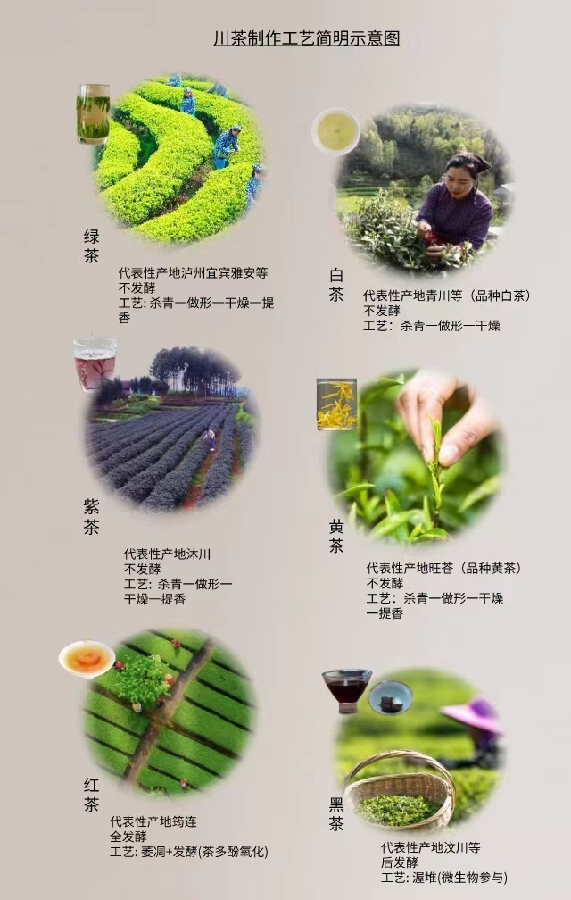 阳净、罗岚、鄢怀林、蒋维明、汪富永等供图 海报制图 杨红