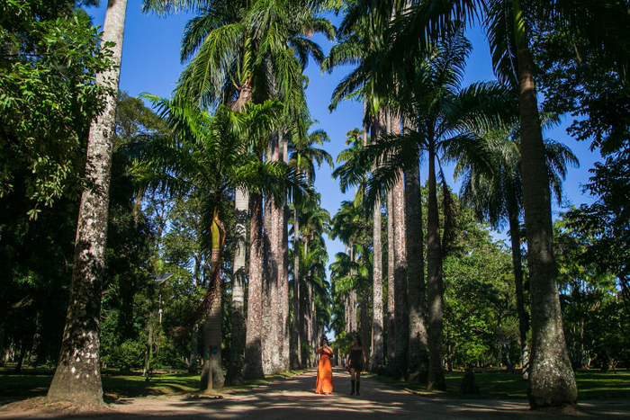 ▲当地时间2023年4月1日，人们在巴西里约热内卢植物园里游览。图/新华社