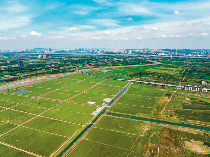 兰花塘高标准农田（2022 年 8 月摄） 王俊摄