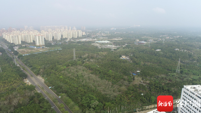 鸟瞰富海产业园区。琼海市发展和改革委员会供图