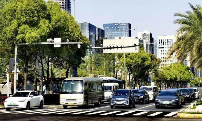 宁波街头的新能源车。黎莉 摄