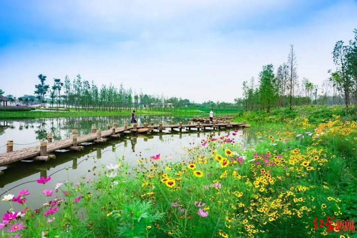 ▲白鹤滩国家湿地公园