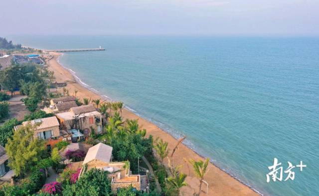 有着“南极村”之称的徐闻县放坡村。曾亮超 摄