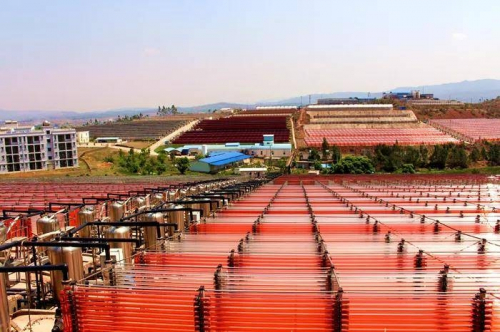 　　爱尔发AstAlphy养殖基地