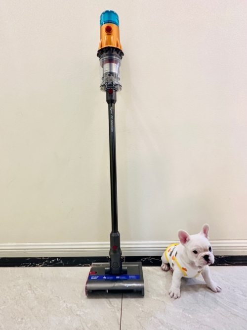 图为戴森V12 Detect Slim Nautik洗地吸尘器。出镜:蛋卷。