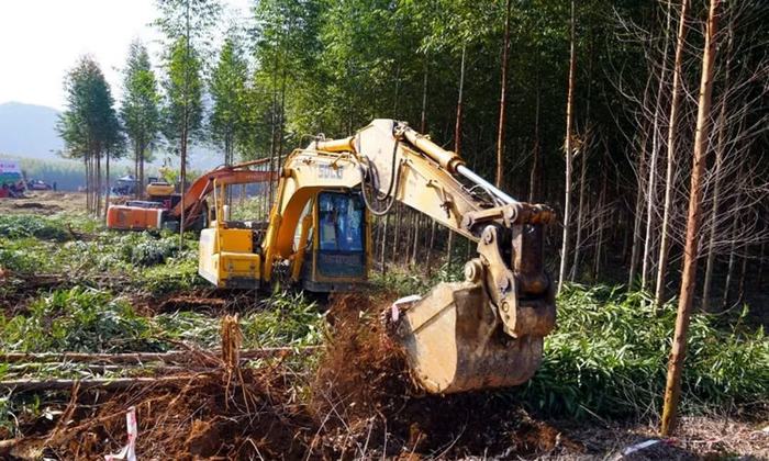 图片源自：柳城县委宣传部