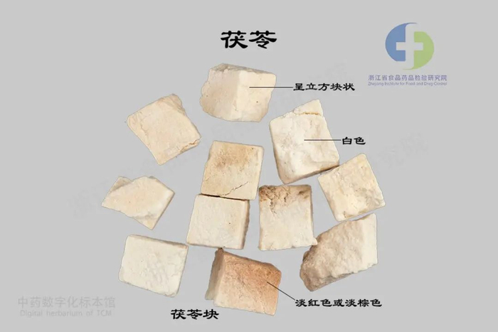 图片来源：浙江中药数字化标本馆