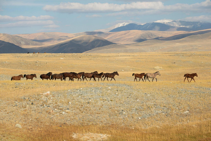图源：社交媒体