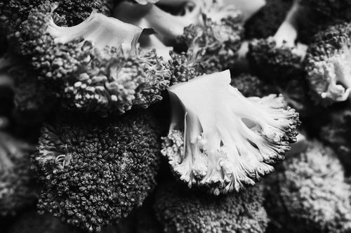 图片来源：pixabay