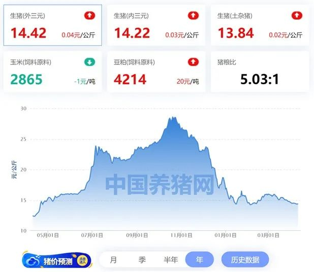 数据来源：中国养猪网，截至2023/4/11