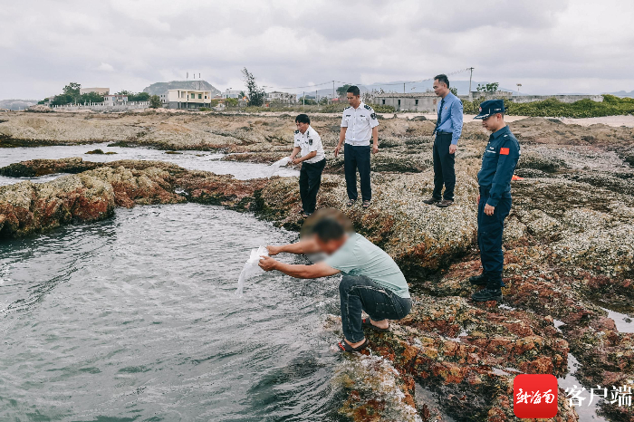 　　在海警执法员的监督下将鱼苗放归。海警供图