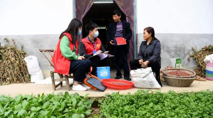 ▲2020年11月1日，安徽省合肥市肥西县紫蓬镇普查员、普查指导员在居民家中进行登记。图/新华社