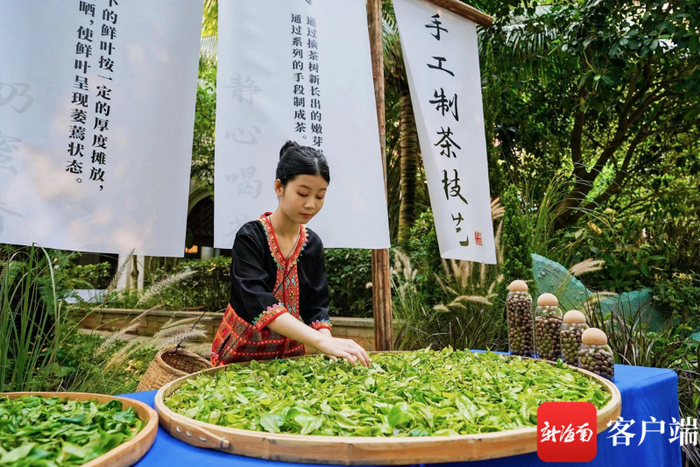 中国红茶消费发展论坛暨五指山雨林红茶文化日上展示五指山茶业。活动主办方供图