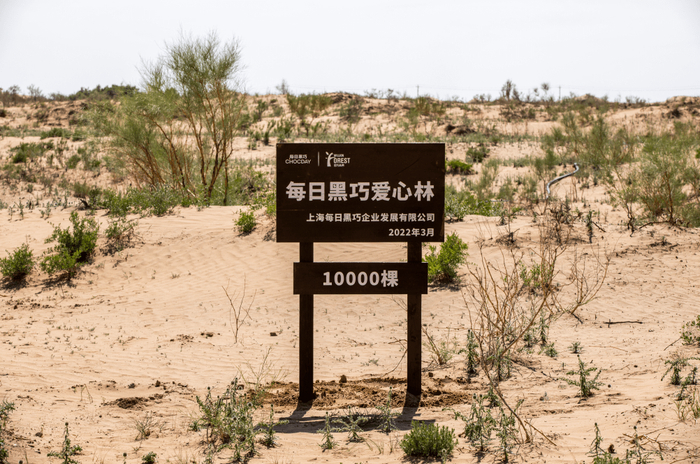 2022“百万森林计划”公益项目种植沙漠锁边生态林-每日黑巧爱心林（图片来源：百万森林计划）
