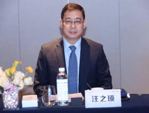 南京医科大学公共卫生学院汪之顼教授出席咨询会。