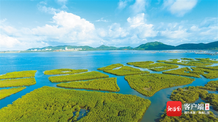 海南陵水红树林国家湿地公园。记者 袁琛 摄