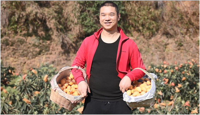 ▲拼多多商家龙建超是米易本地人，他返乡创业销售家乡农产品，在“枇杷水乡”丙谷镇芭蕉箐村建立了枇杷代收点。段玉良/摄